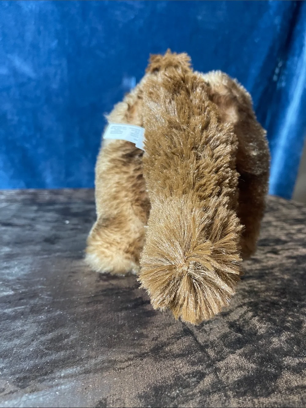 The petting zoo Plush Anteater